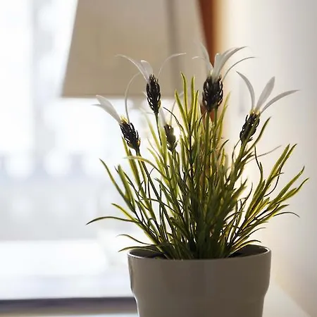 Salernoprestige ساليرنو