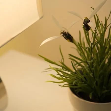 Salernoprestige 4* ساليرنو